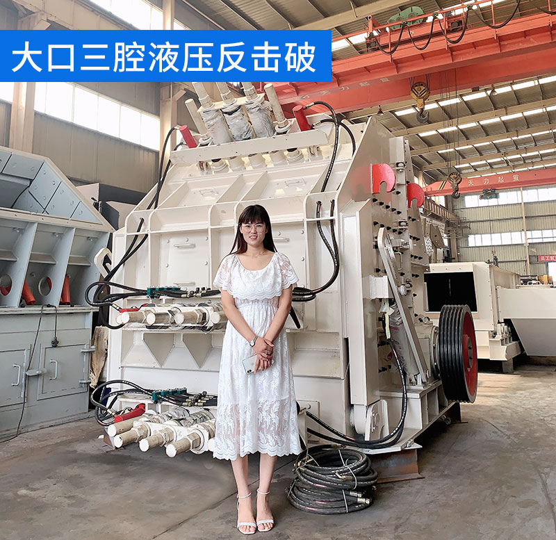 三腔歐版反擊式破碎機